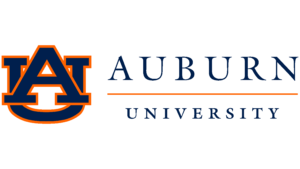 online computer science degree from Auburn